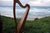 
                The Harp in the Wind Project
              